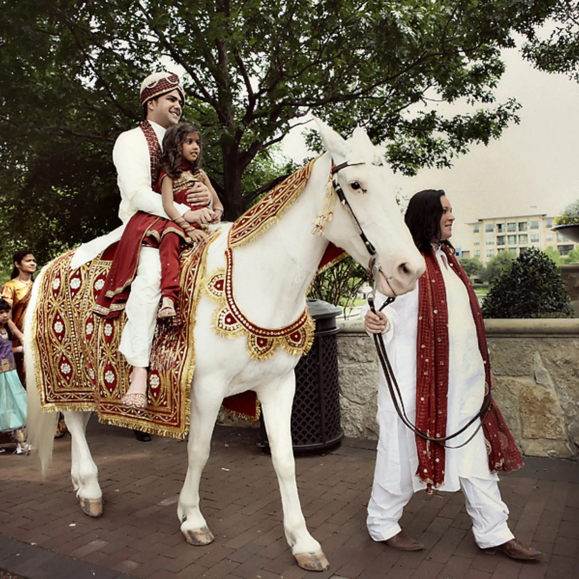 Ghodi with dulhe raja baraat shoot